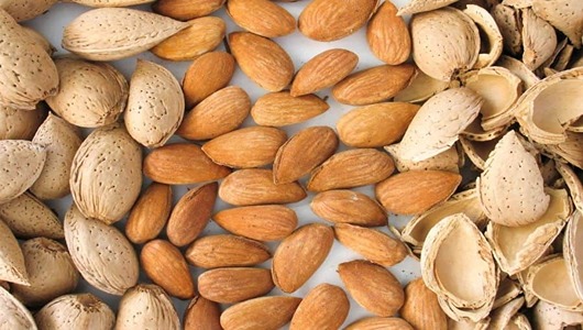 فروش بادام سنگی + قیمت عمده
